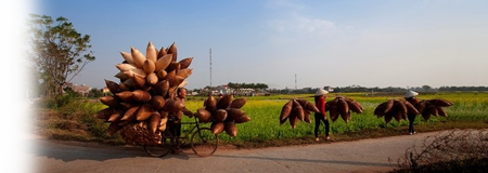 Làng quê VN