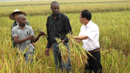 Họ lấy đi tài nguyên tự nhiên của chúng tôi... còn Việt Nam đã mang đến cho chúng tôi cuộc sống ấm no và hạnh phúc.