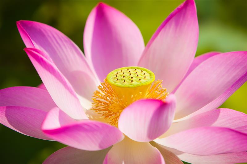 SUY NGẪM TỪ LỜI PHẬT DẠY