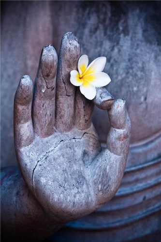 Có nên tụng kinh niệm Phật vào buổi đêm hay không?