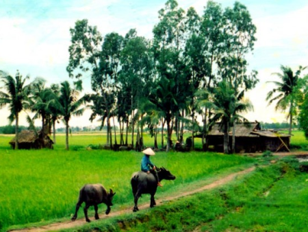 "TOÀN CẦU HÓA" LÀ HÒA NHẬP ĐỂ HỘI NHẬP QUỐC TẾ HÓA CHỨ KHÔNG PHẢI LÀ HÒA TAN